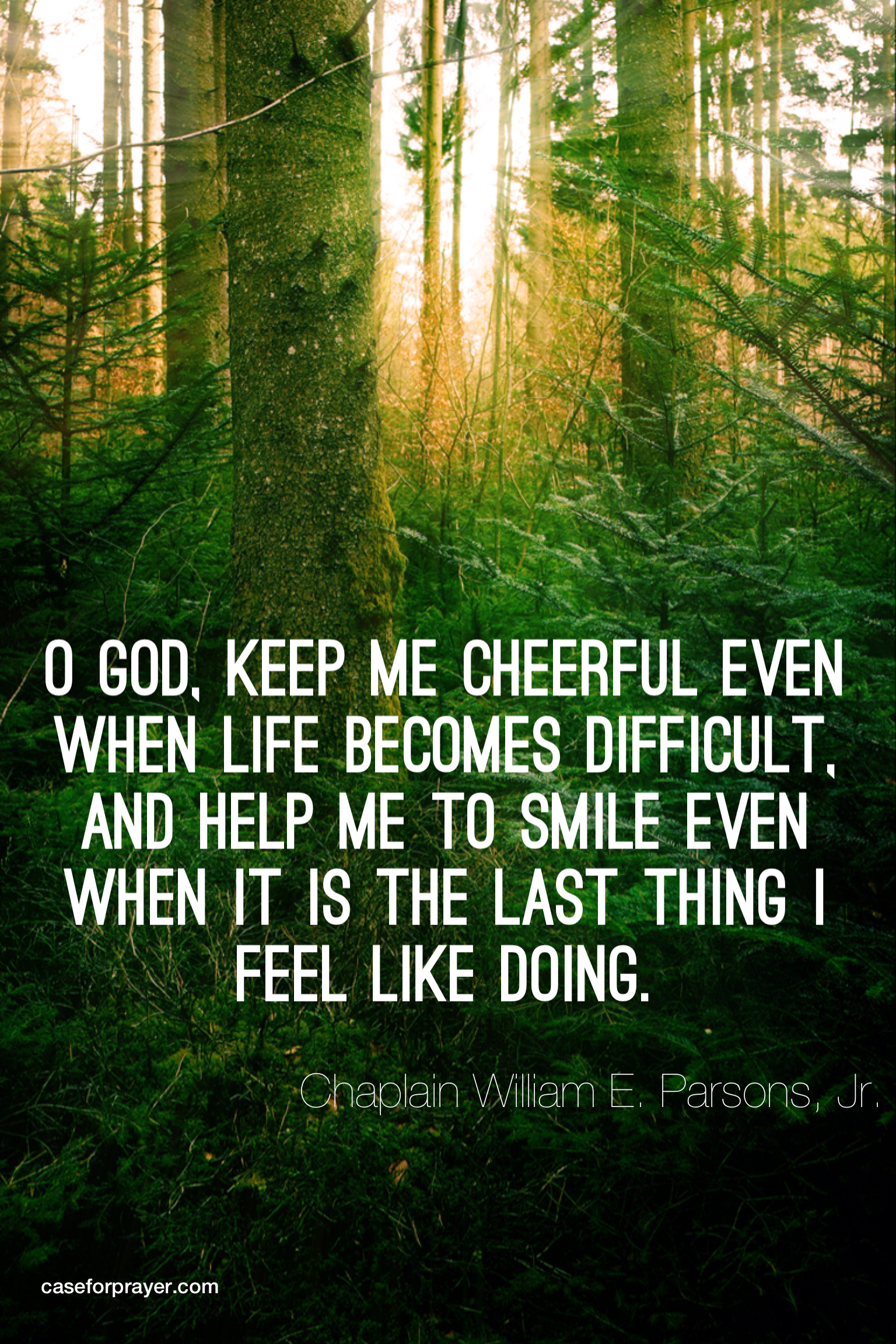 forest_cheerful-lg
